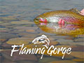 Utah Flaming Gorge National Recreation Area FlamingGorgeCountry-button