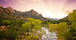 Zion National Park