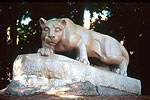 Nittany Lion