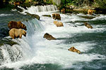 Katmai