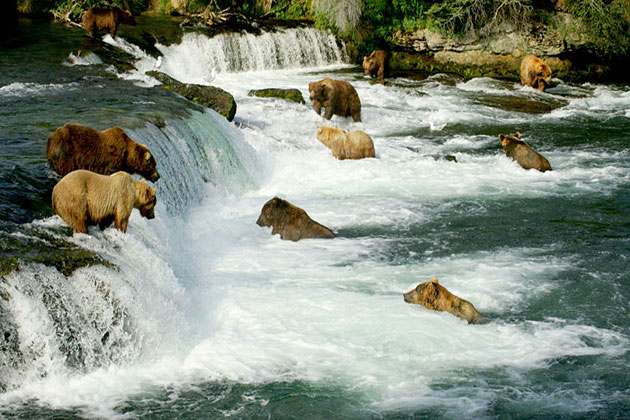 Katmai
