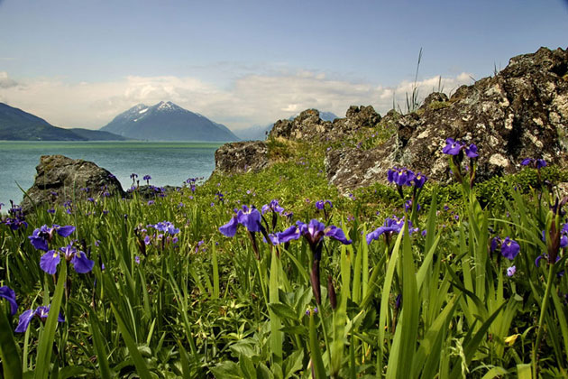 Vibrantly Breathtaking