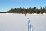 Snowy Adventure