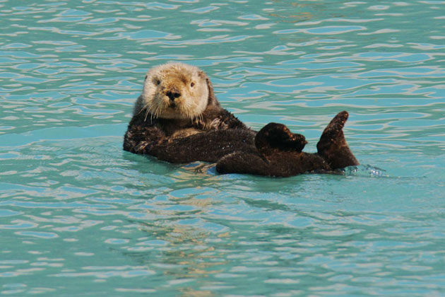 Splashing Around