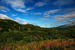 Amazing Scenery