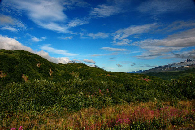 Amazing Scenery