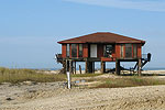 Beach House