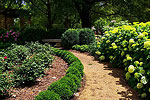 Rose Gardens
