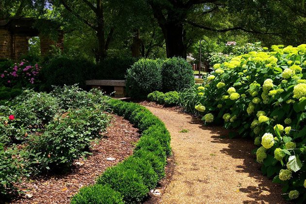 Rose Gardens