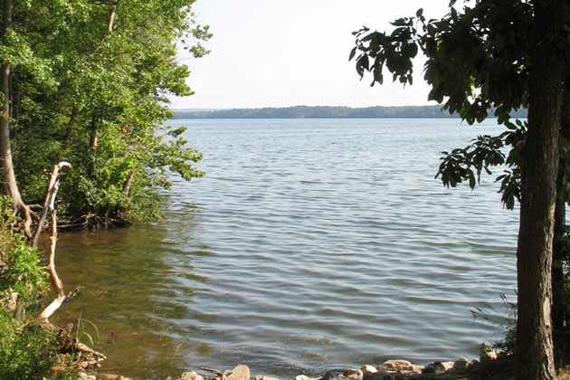 Scenic Stop