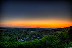 Vivid Colors