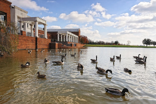 Fine Art Museum