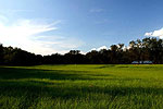 Farm Country