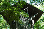 Thorncrown Chapel