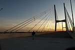 Greenville Bridge