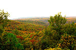 Autumn Splendor