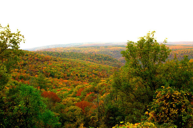 Autumn Splendor