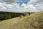 Horseback Riding White Mountains