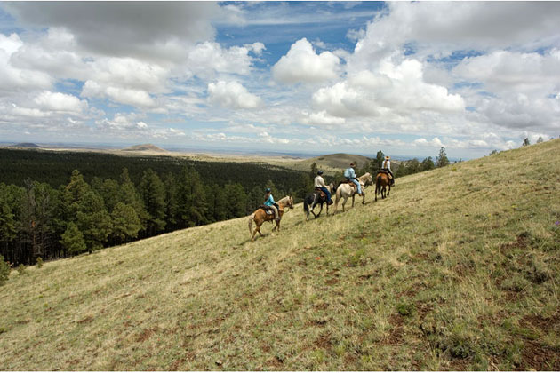 Horseback Riding White Mountains