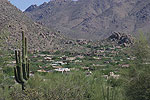 Cactus-Lined Streets