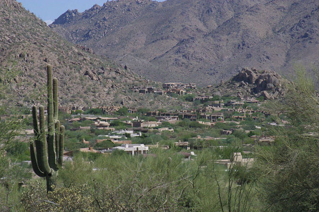 Cactus-Lined Streets