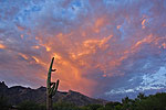 Arizona Sunset