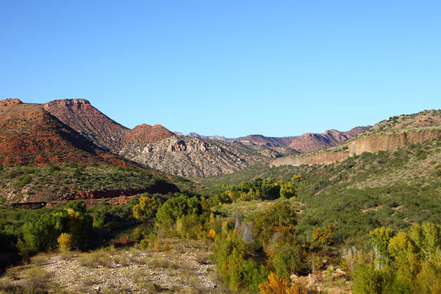 Arizona Autumn