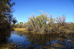 Nature Preserve