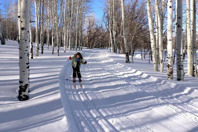 Skiing in the Abajo Mountains