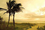 Captiva Island 