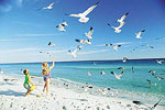 Navarre Beach