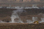 Hawaii Volcanoes Steam Ven