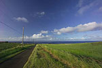 North Kohala Countryside