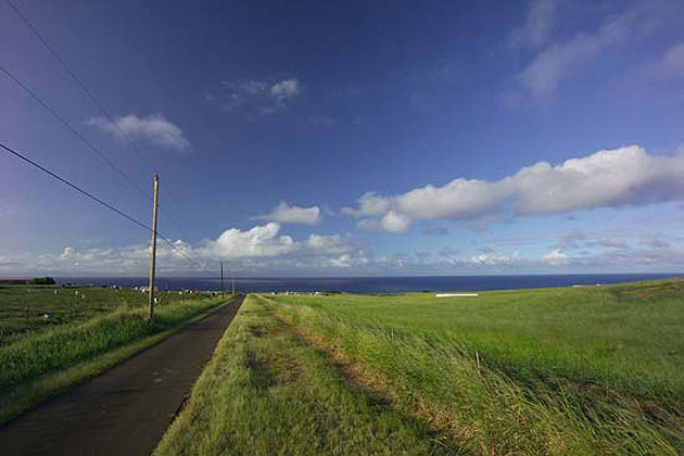 North Kohala Countryside