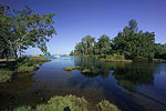 Reed's Bay Hilo