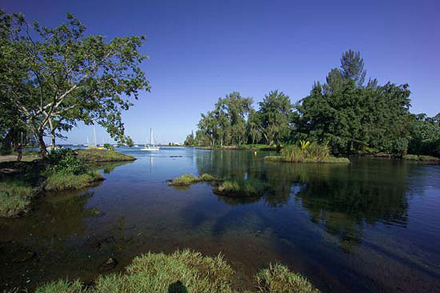 Reed's Bay Hilo