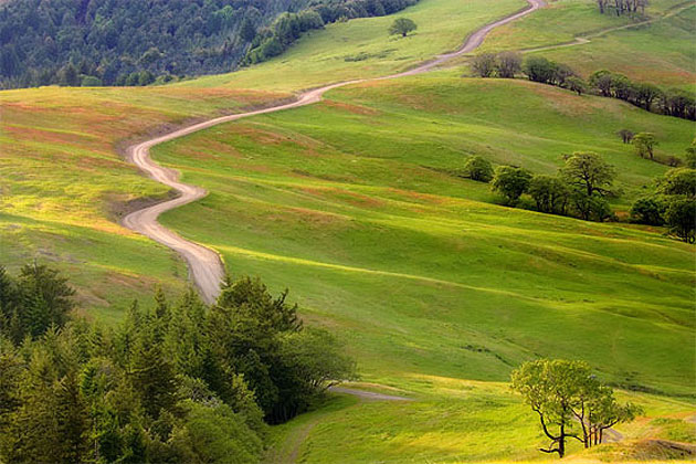 Bald Hills Road