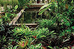 Beaumont Garden