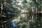 Big Sur River