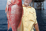 Big Red Snapper