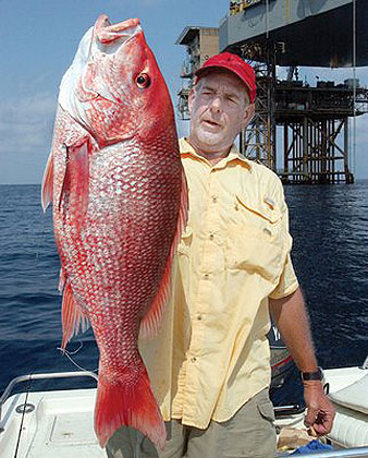Big Red Snapper