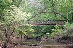 Big Thicket Hike