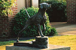 Bird Dog Museum-Grand Junction
