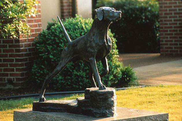 Bird Dog Museum-Grand Junction