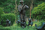 Bird Dog Musuem