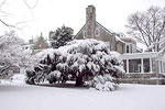 Blithewold Mansion