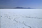 Salt Flats