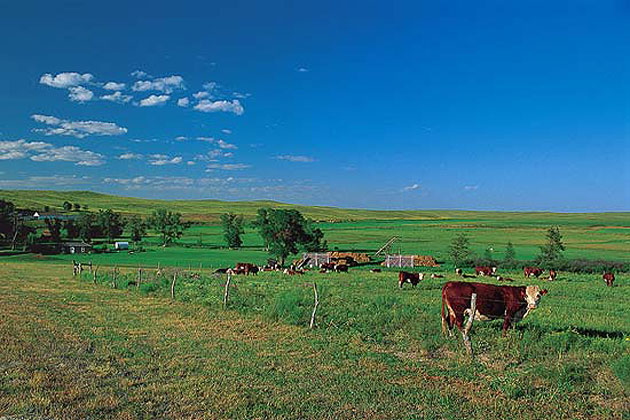 Arthur Bowring Ranch State Historical Park