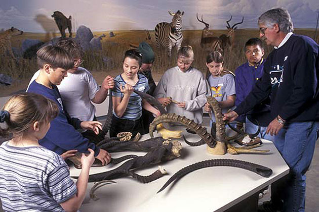 Bramble Park Zoo
