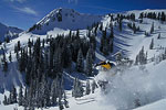 Brighton Ski Resort